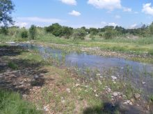 Kelland Wetland Rehabilitationn